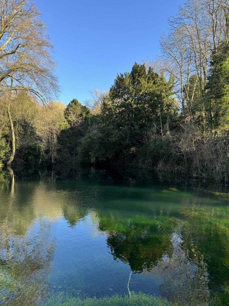 Cover Image for Gin-spiration in the Surrey Hills 