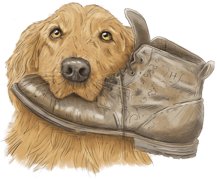 The Boot