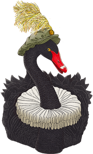 The Black Swan