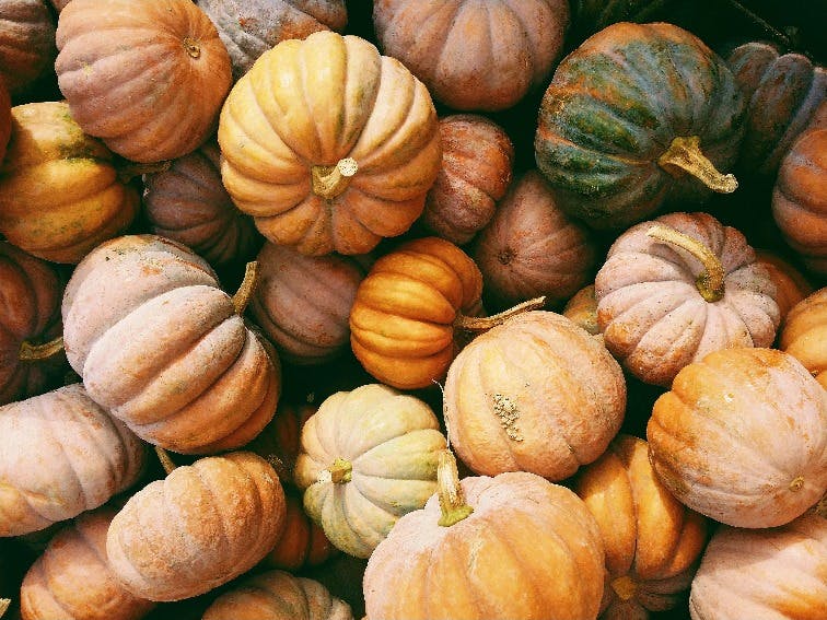 Cover Image for Pumpkins are our star ingredient