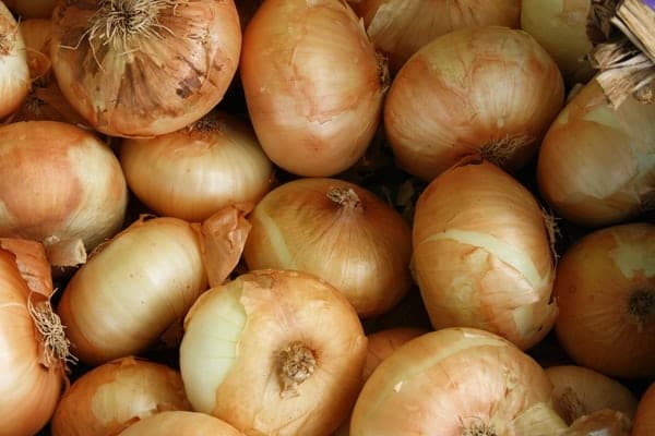 Cover Image for Raymond Blanc’s Tasty White Onion Soup