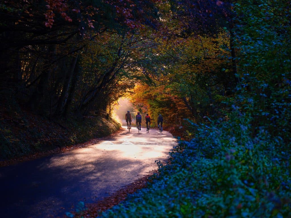 Cover Image for Cycle, Sip, Supper & Sleep – An EPPic cycling escape!