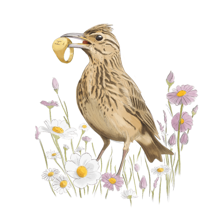 The Meadow Lark